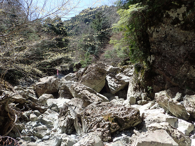 resize0075.jpg