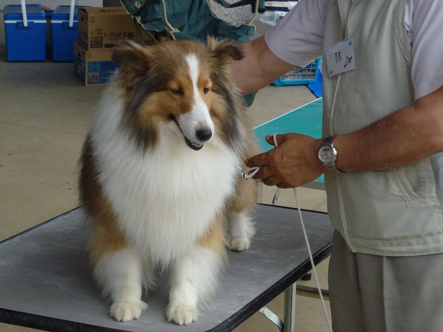 P1010338 - コピー.JPG
