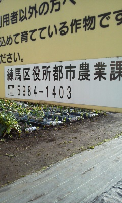 ピクチャ 001.JPG