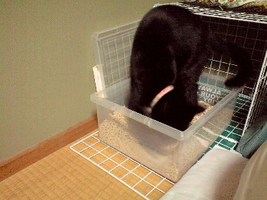 No320-008