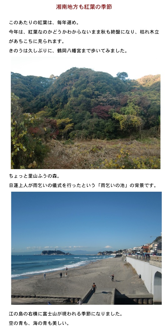 2013.12.01-3.jpg