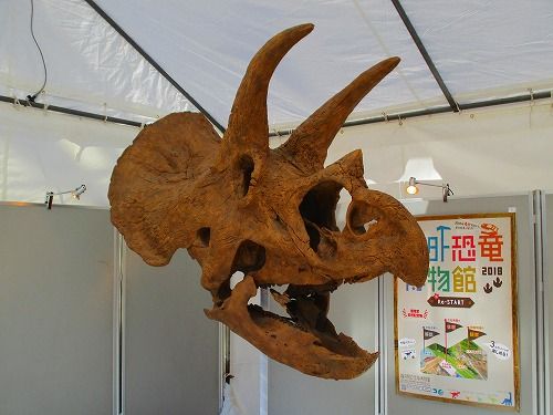 恐竜 化石 が東京のあちこちに出現 おとっつぁん いろいろやっちょります 楽天ブログ