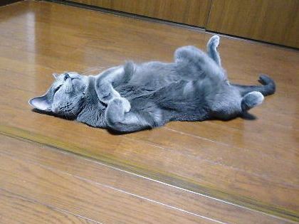 2013年12月14日_P1170138.jpg