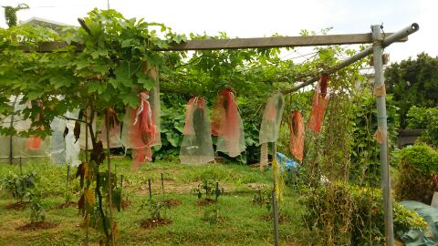 rblog-20140701205339-03.jpg