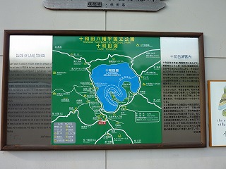 P1070001.jpg