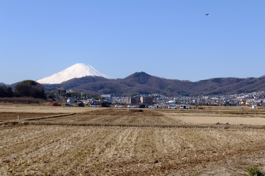DSCF6357.jpg