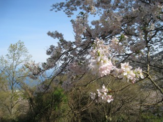 IMG_8444.jpg