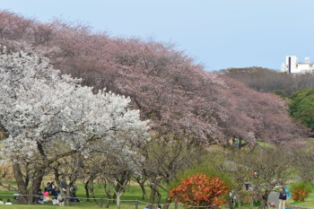 DSC_0960.jpg