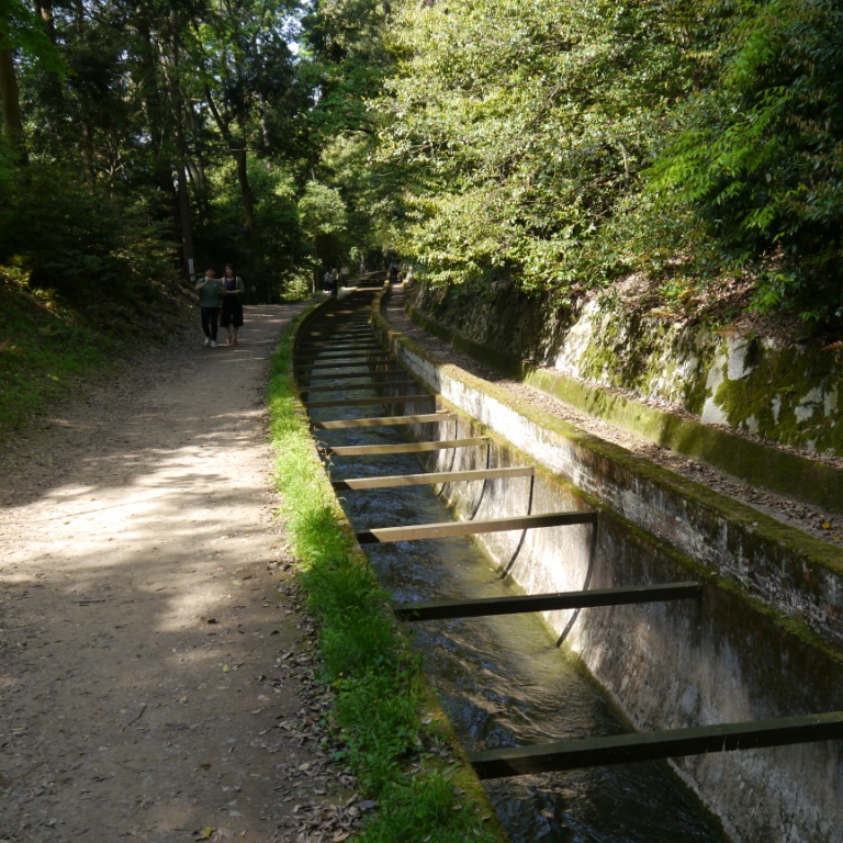 P1070351.JPG