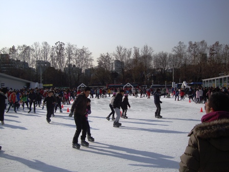 20140131 skate 11.jpg