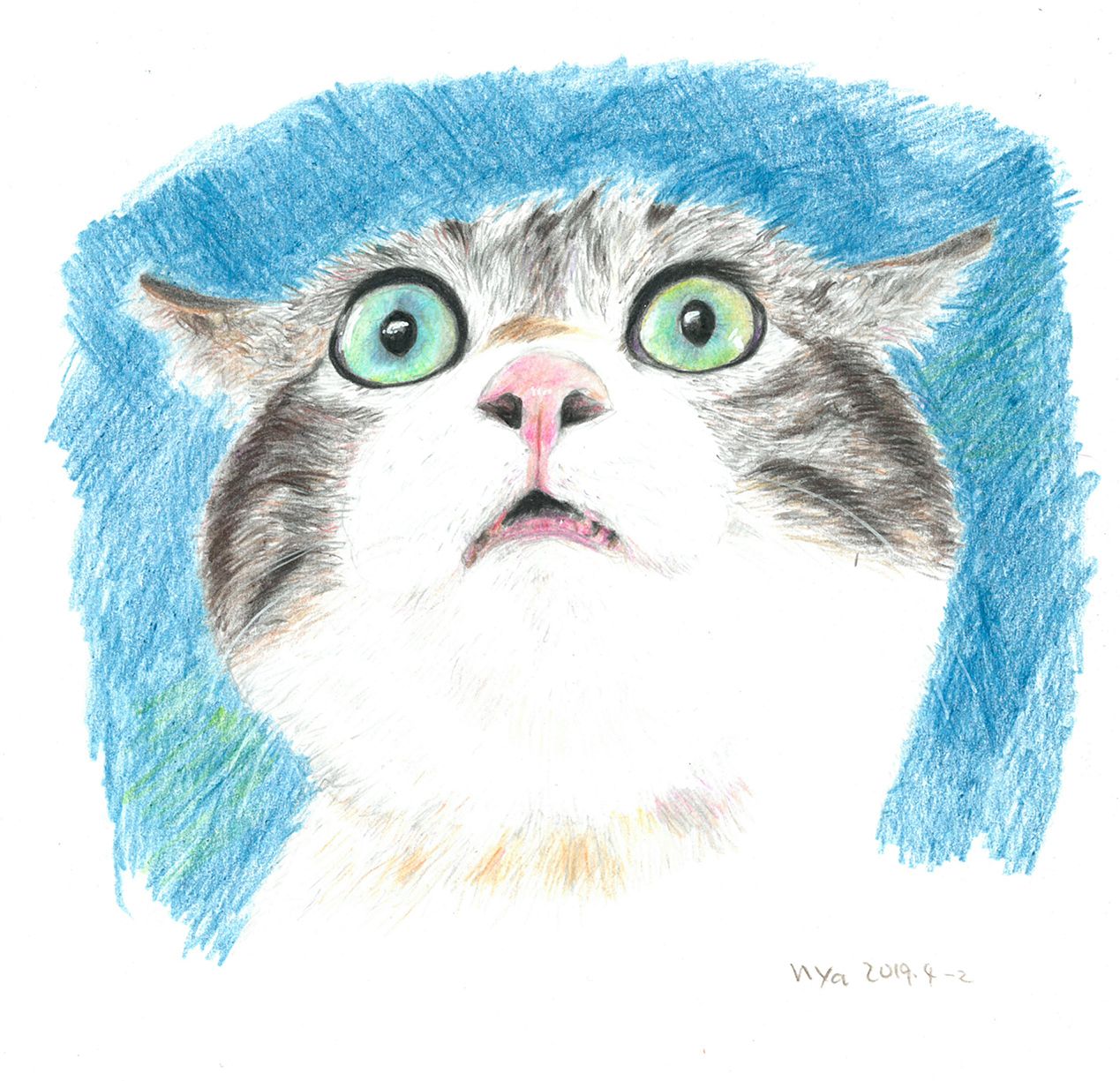 夢中すぎるねこ より 油彩色鉛筆カリスマカラー にゃんだミケコの手作りな日々 楽天ブログ