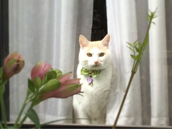 rblog-20160530215815-02.jpg