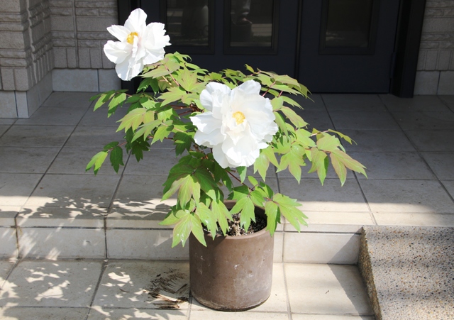 GX0A3494.JPG