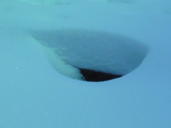 マンホールの穴の上だけ雪もホール。