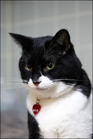 東京旅行-132 廉太郎くん-2 13.10.5