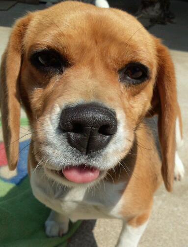クララどアップ.jpg