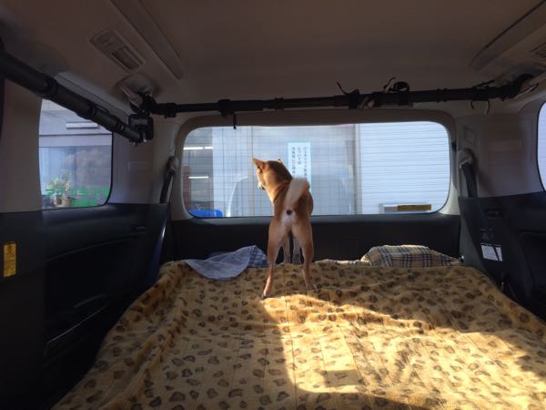 rblog-20151219040313-01.jpg