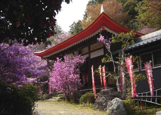 豊川１４.JPG