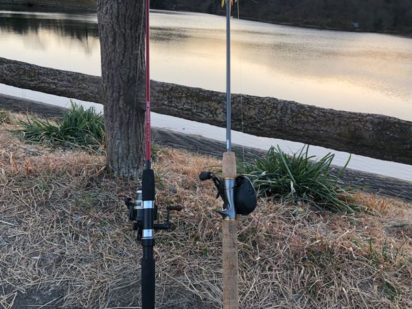 rblog-20190105182449-02.jpg