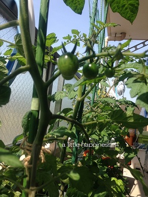 携帯写真 248.jpg