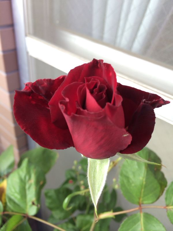 rblog-20140519095320-01.jpg