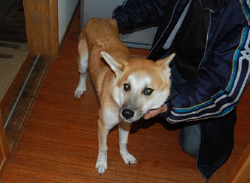 DSC_0192.JPG