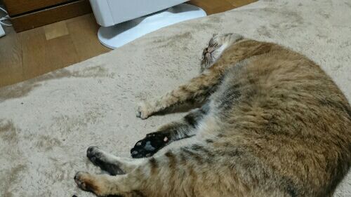rblog-20170502112148-00.jpg