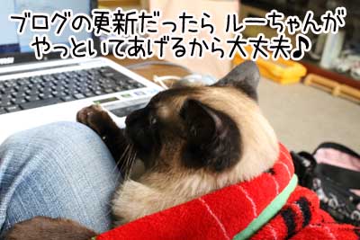 後頭部４.JPG