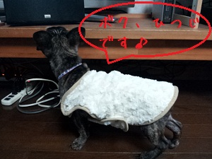 20121018_210749.jpg