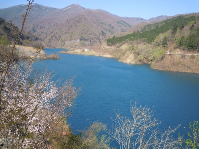 DSCN9008 (400x300).jpg