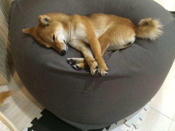 rblog-20160421235954-01.jpg