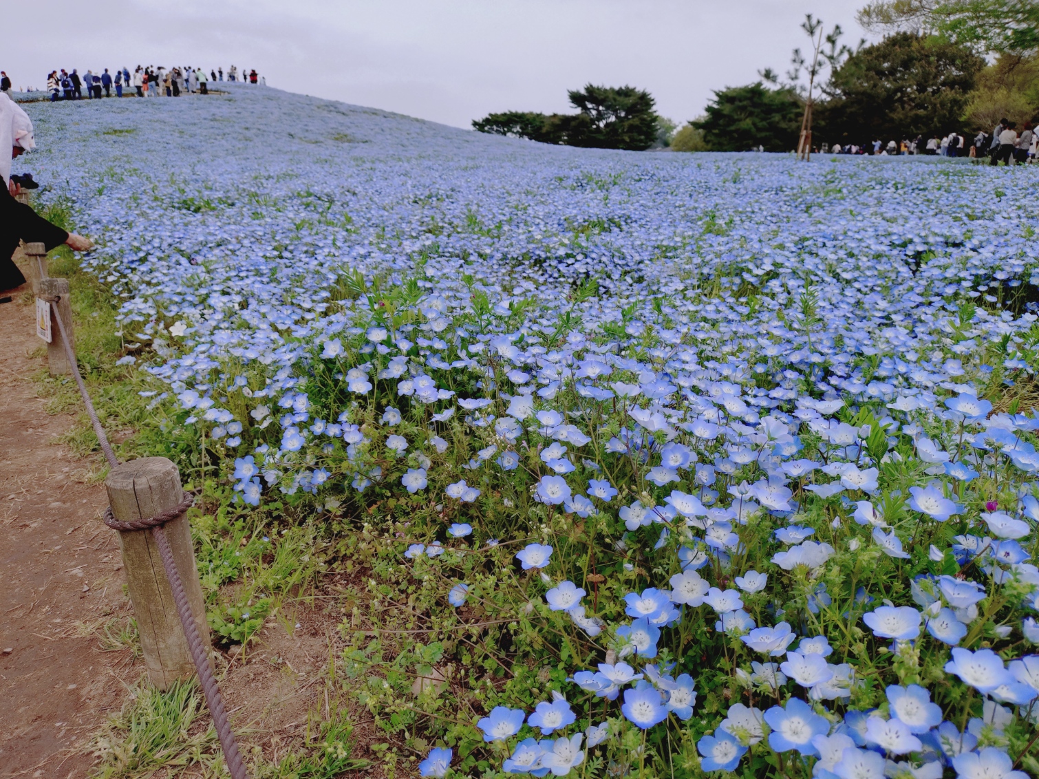 国営ひたち海浜公園 | 温泉ランニング - 楽天ブログ