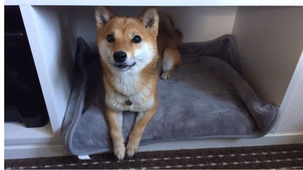rblog-20161230091940-00.jpg