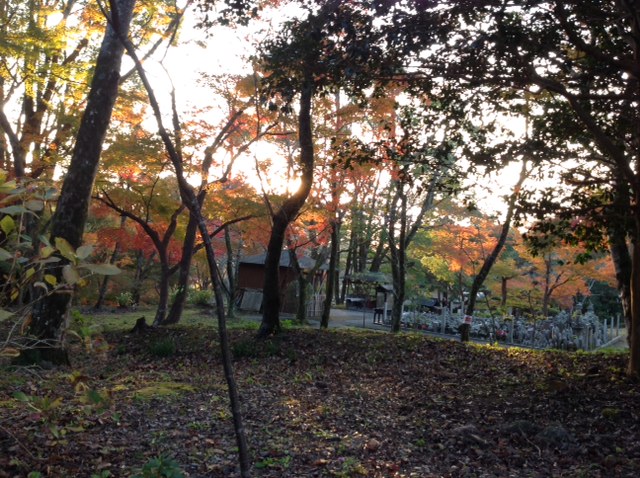 紅葉と夕陽の根来寺