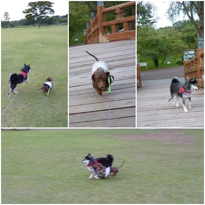 男鹿半島ぶらり旅