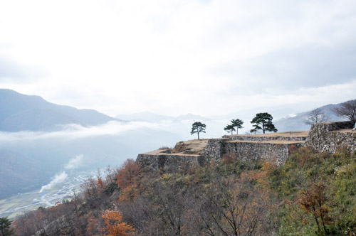 城5