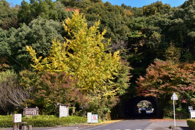 羅漢寺