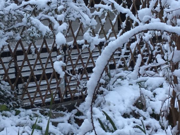 rblog-20170123075050-03.jpg