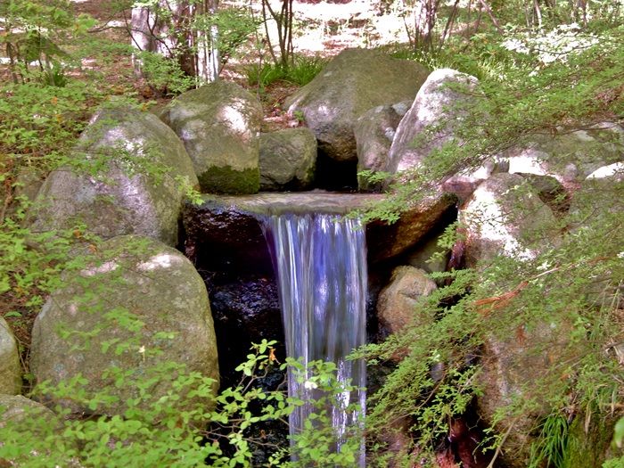 長谷池北岸2