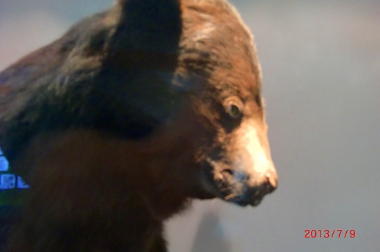 あらら、コリア、、、 078.jpg