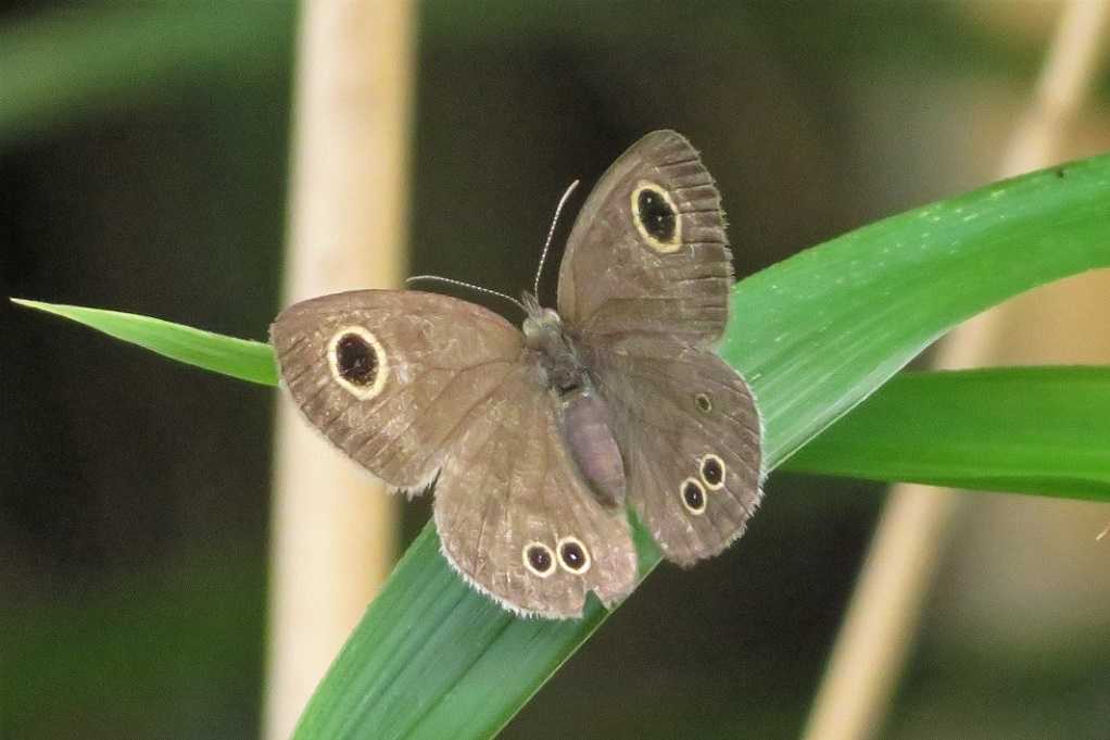 498