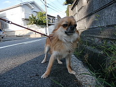 conv0529.JPG