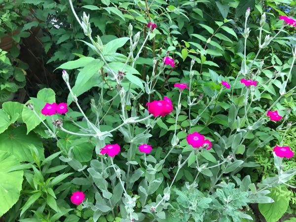rblog-20180531150337-08.jpg