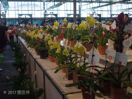 2017_03060153.jpg