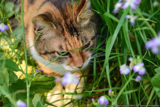 『アベンジャーズ:インフィニティ・ウォー』に新しい予告編が登場。今すぐ見る