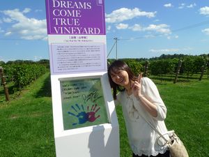 ワイン城　dreams come true VINEYARD