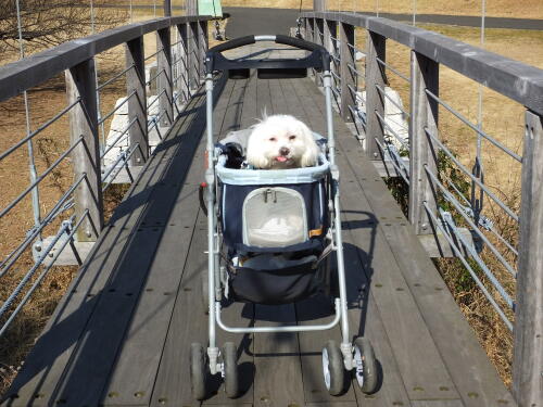 葛西臨海公園にて