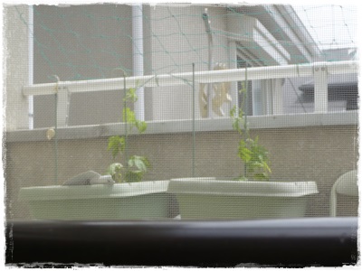 026.JPG