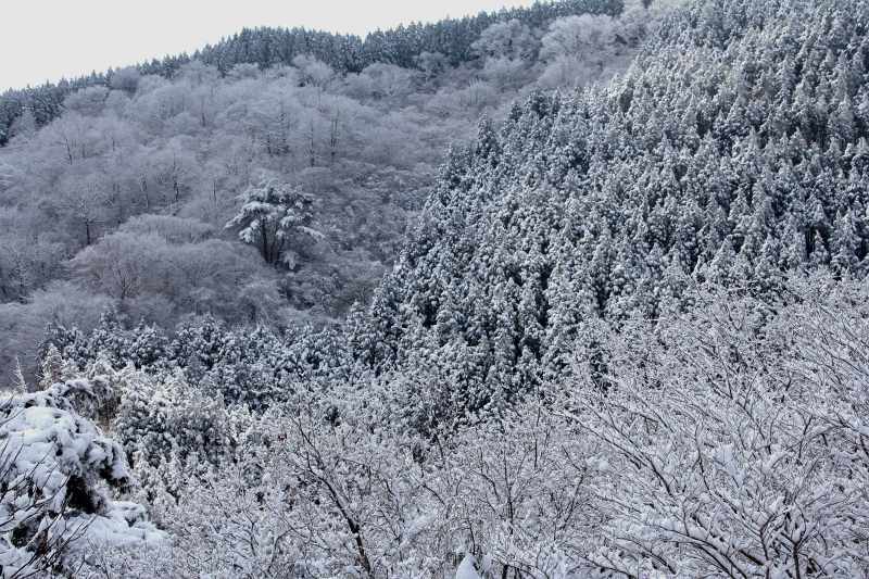 金剛山_6-3.jpg