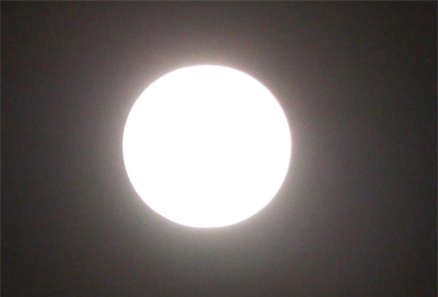 20140415_01.jpg